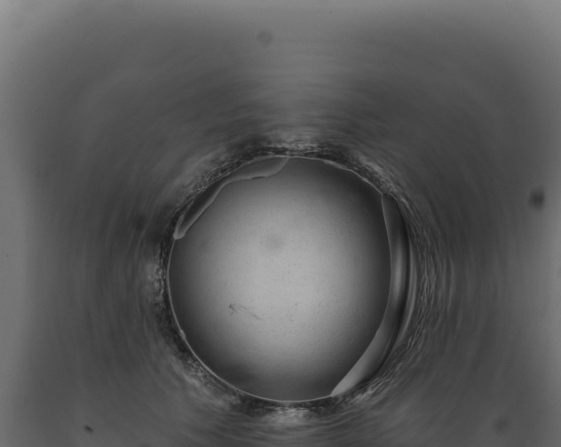 X0000089960609200707061141