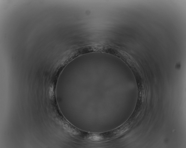 X0000089960610200707061141