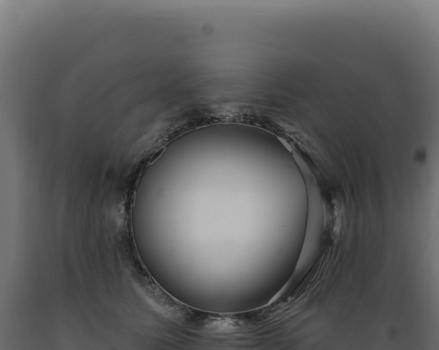 X0000089960611200707061141
