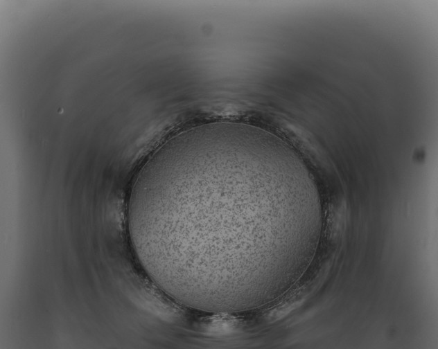X0000089960612200707061141