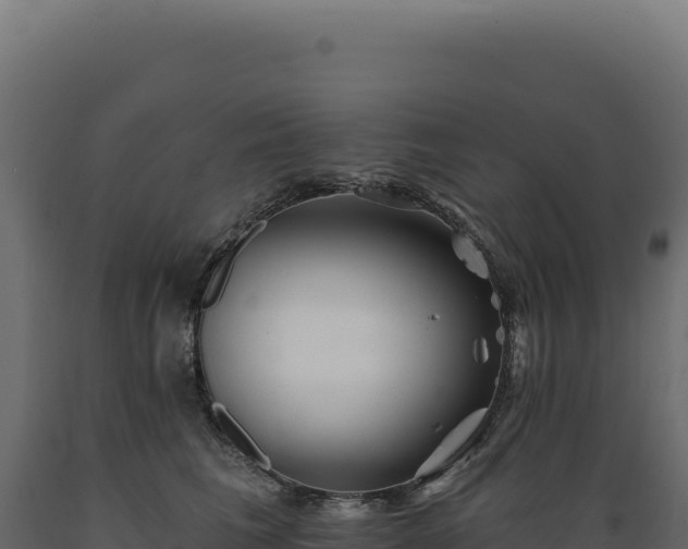 X0000089960613200707061141