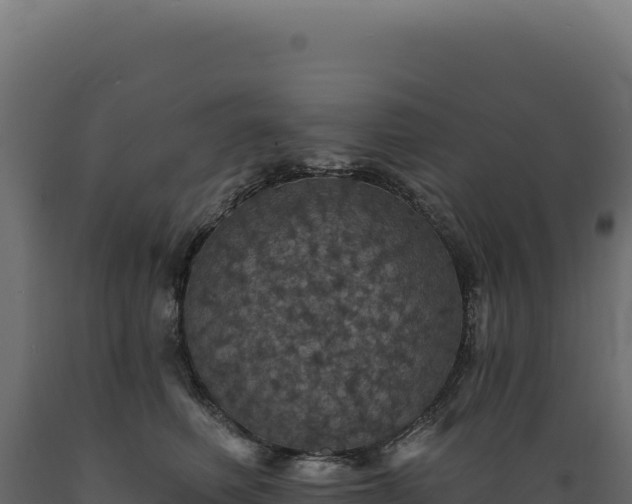 X0000089960614200707061141