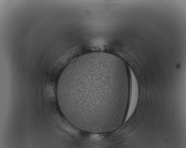 X0000089960616200707061141