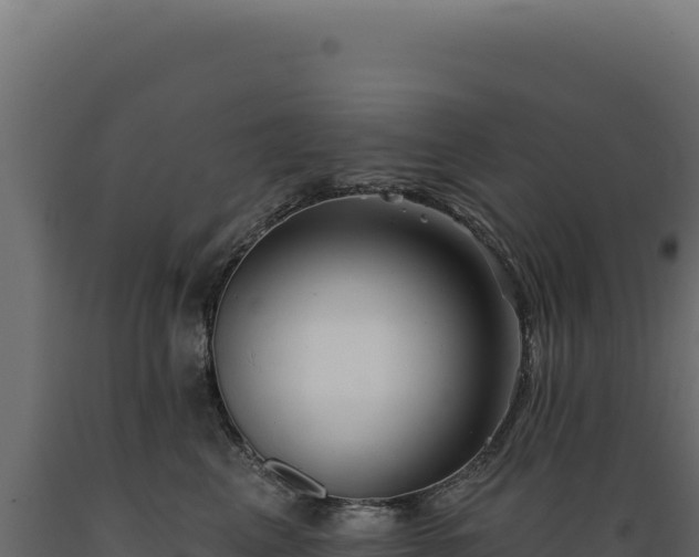 X0000089960617200707061141