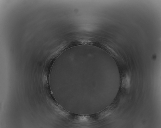 X0000089960618200707061141