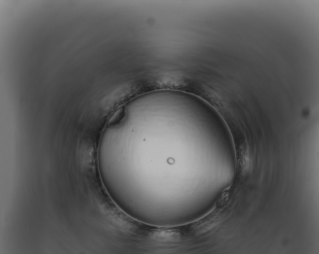 X0000089960619200707061141