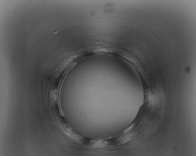 X0000089960621200707061141