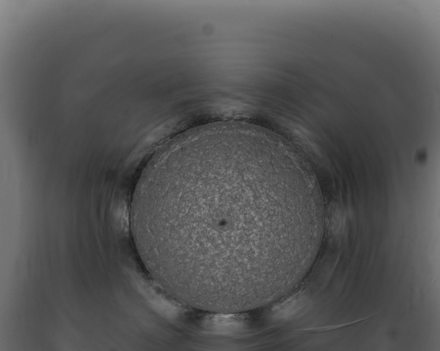 X0000089960622200707061141