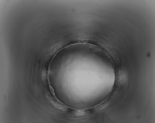 X0000089960623200707061141