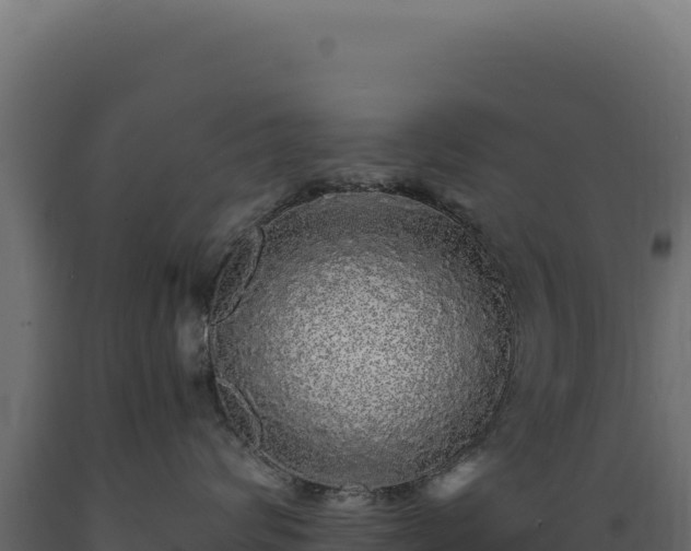 X0000089960624200707061141
