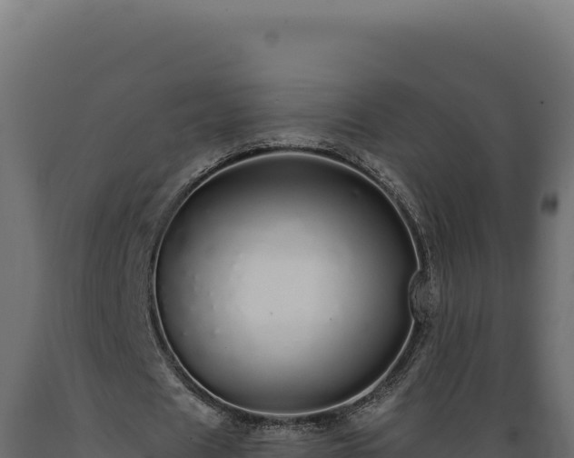 X0000089960625200707061141