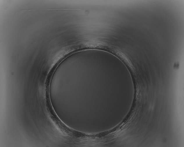 X0000089960626200707061141
