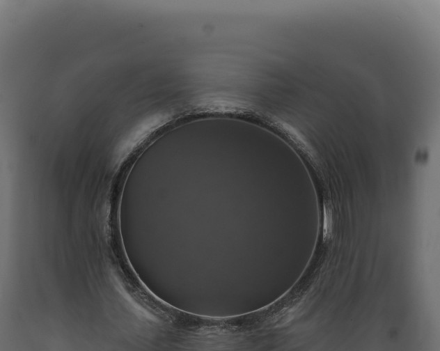 X0000089960627200707061141