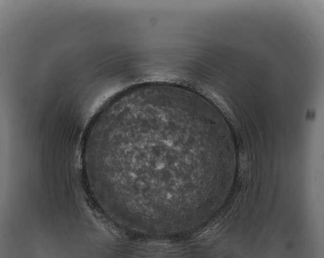 X0000089960628200707061141