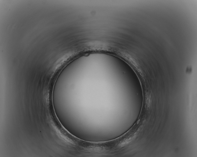X0000089960629200707061141