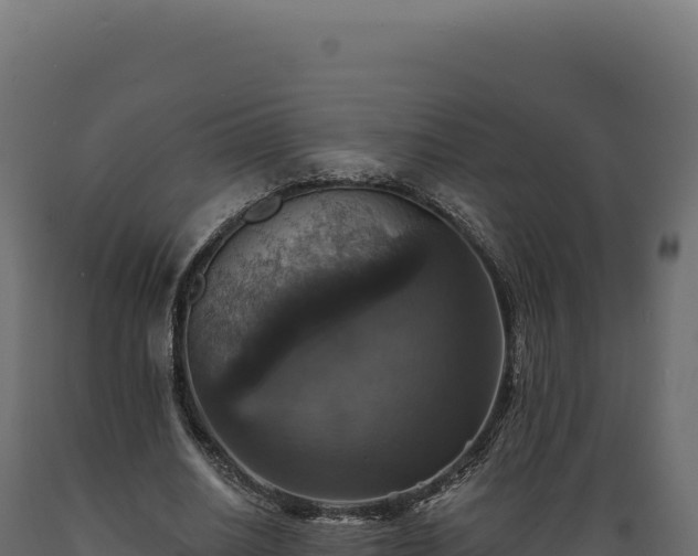 X0000089960630200707061141
