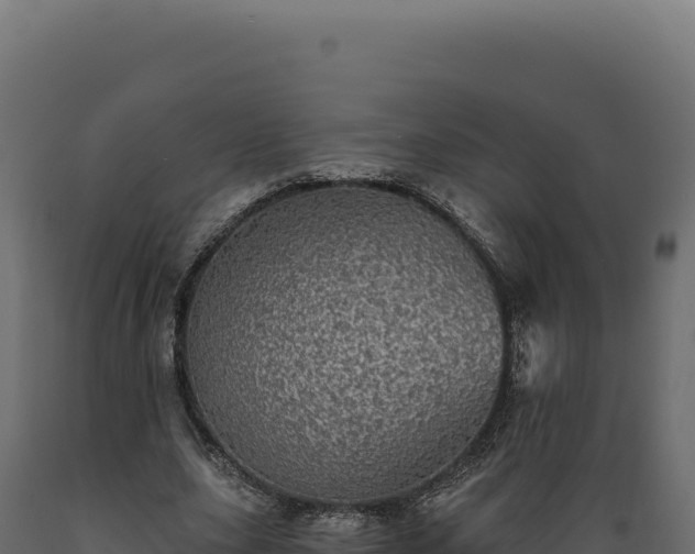 X0000089960631200707061141