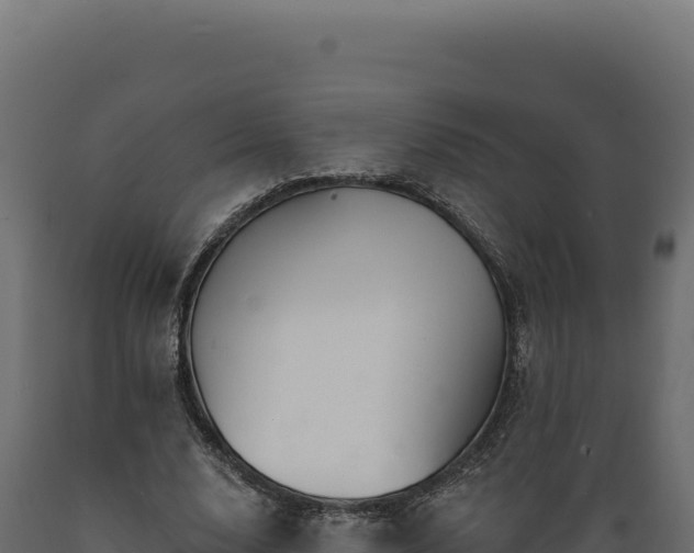 X0000089960632200707061141