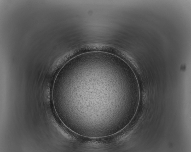 X0000089960633200707061141