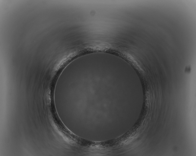 X0000089960634200707061141