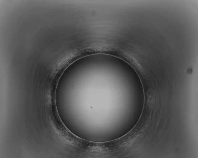 X0000089960635200707061141