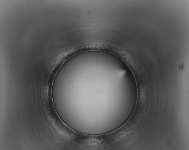 X0000089960636200707061141