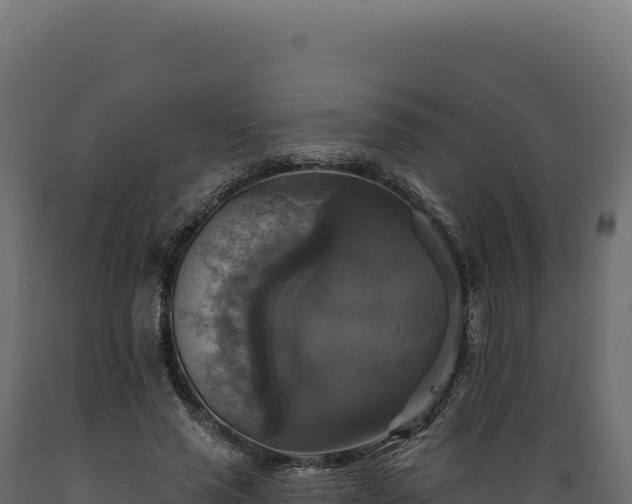 X0000089960637200707061141