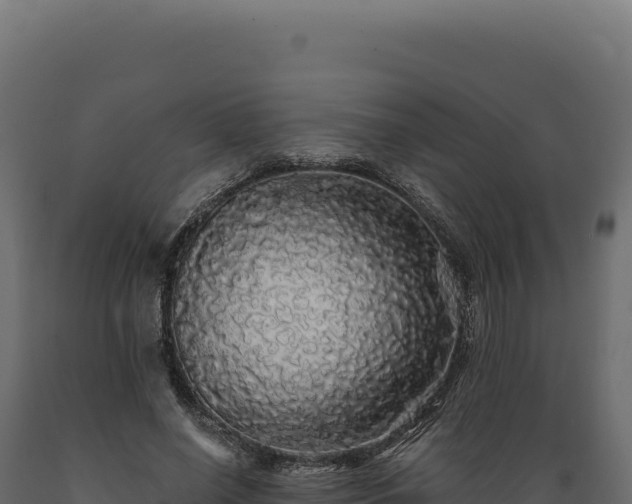 X0000089960638200707061141