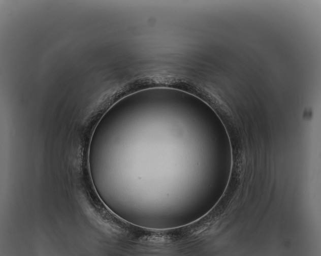 X0000089960639200707061141