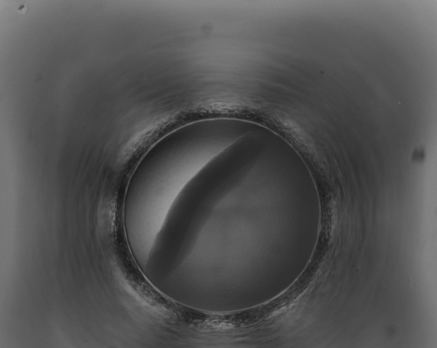 X0000089960640200707061141