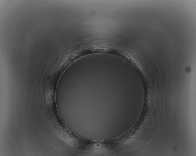 X0000089960641200707061141