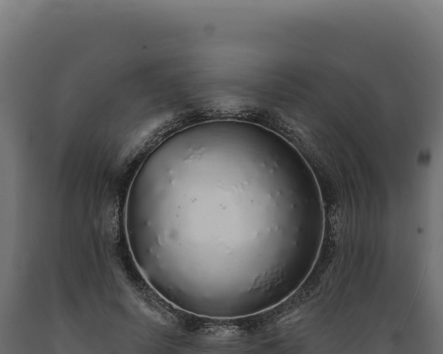 X0000089960642200707061141