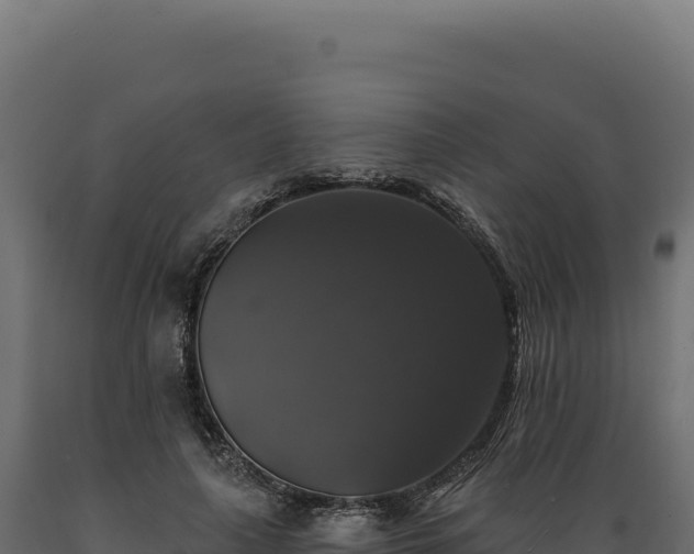 X0000089960643200707061141