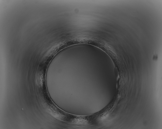 X0000089960644200707061141