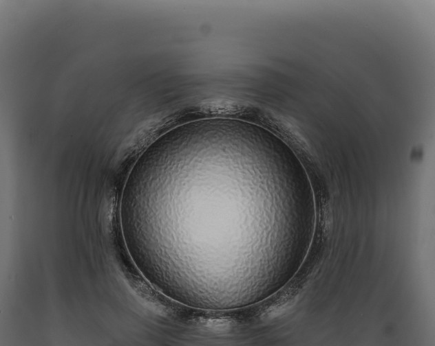 X0000089960645200707061141