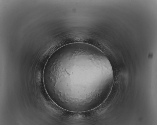 X0000089960646200707061141