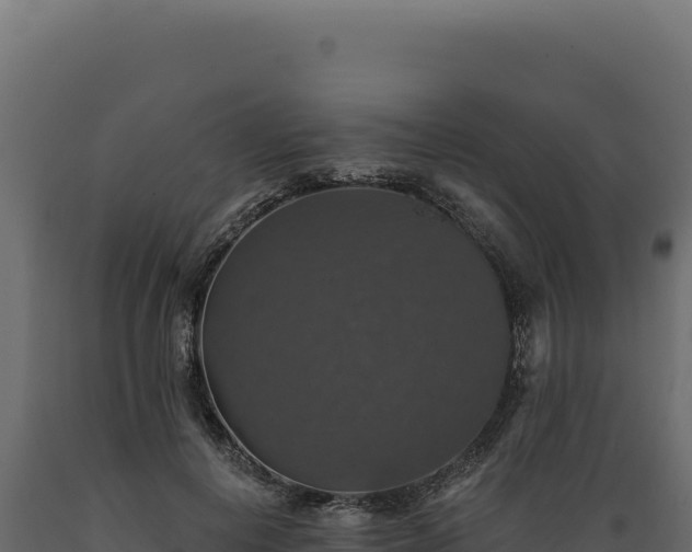 X0000089960648200707061141