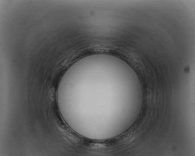 X0000089960649200707061141