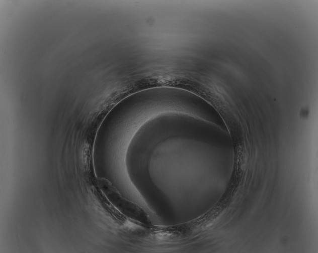 X0000089960650200707061141
