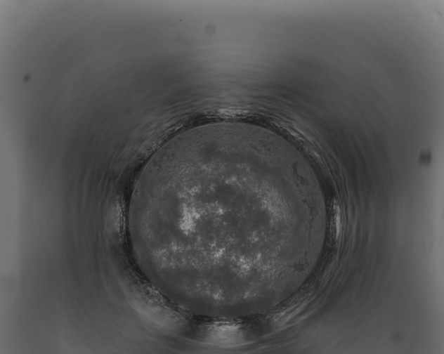 X0000089960651200707061141