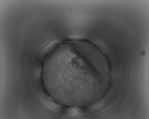 X0000089960652200707061141