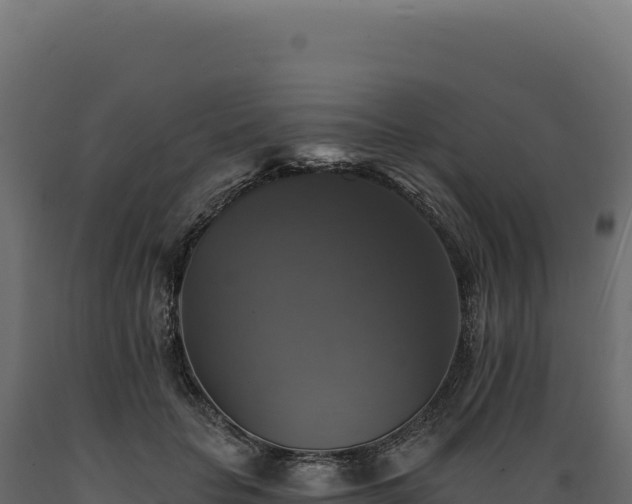 X0000089960653200707061141