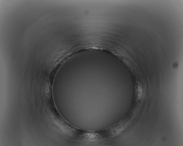 X0000089960654200707061141