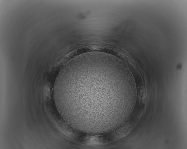 X0000089960655200707061141