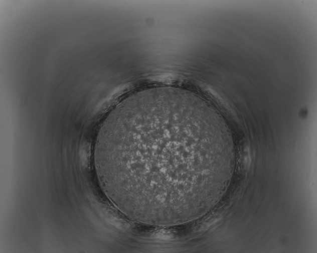 X0000089960656200707061141