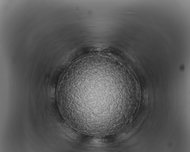 X0000089960657200707061141