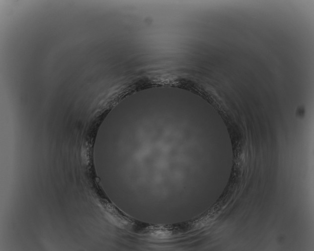 X0000089960658200707061141