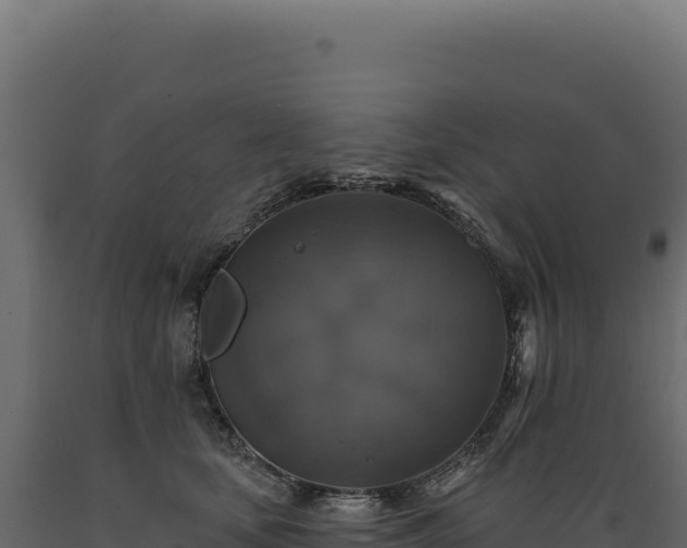 X0000089960659200707061141