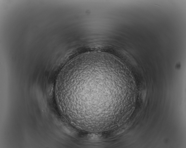 X0000089960660200707061141