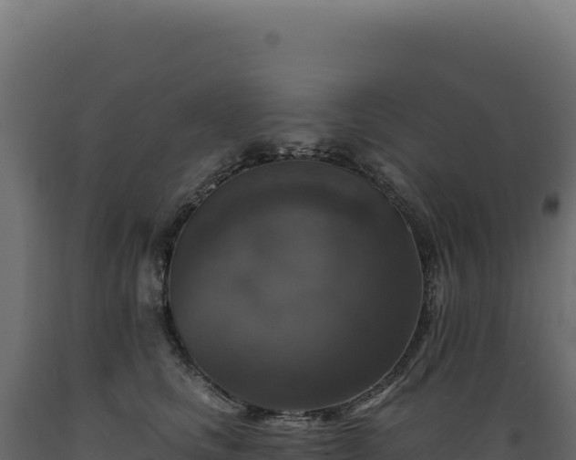 X0000089960661200707061141